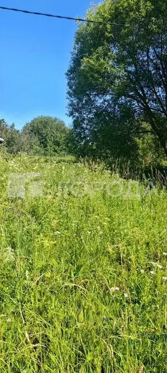 Участок в Московская область, Сергиево-Посадский городской округ, д. ... - Фото 1