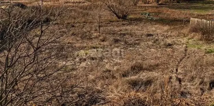 Участок в Воронежская область, с. Новая Усмань ул. Весенняя (3.2 сот.) - Фото 0