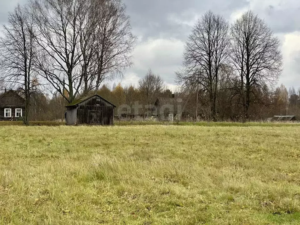 Участок в Смоленская область, Демидовский муниципальный округ, д. ... - Фото 2