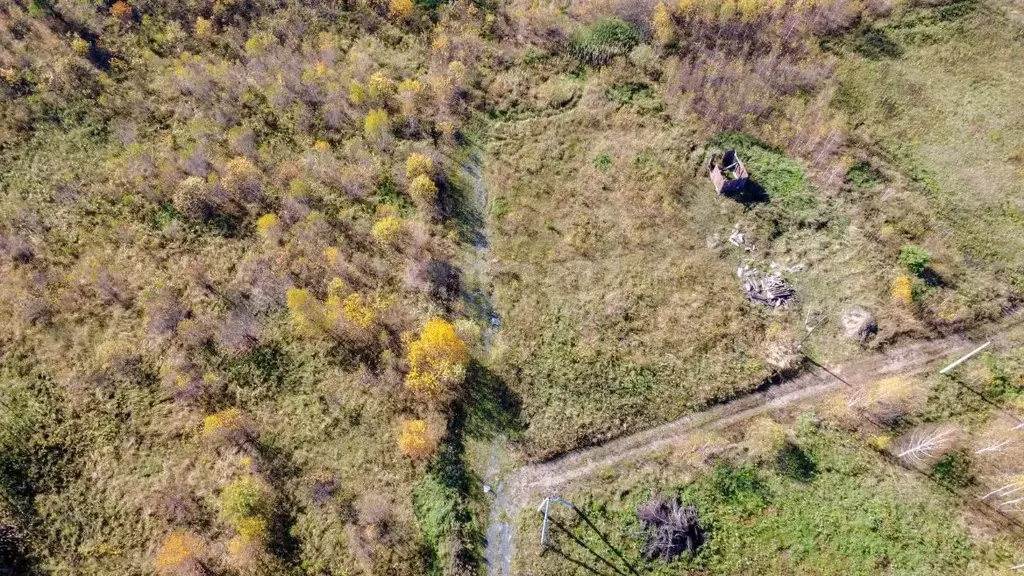 Участок в Томская область, Томский район, д. Лязгино Центральная ул. ... - Фото 2