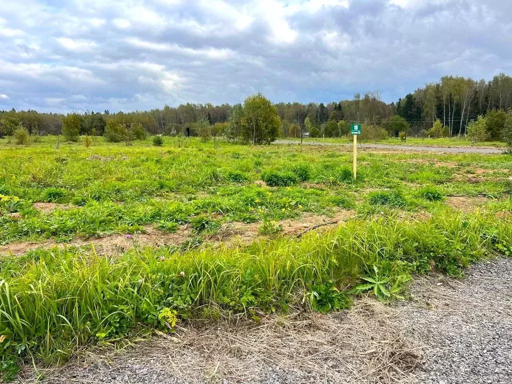 Участок в Московская область, Чехов муниципальный округ, д. Слепушкино ... - Фото 1