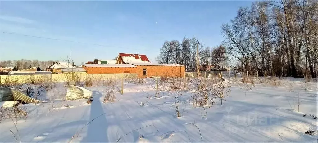 Участок в Омская область, Омский район муниципальный округ, с. Пушкино ... - Фото 1