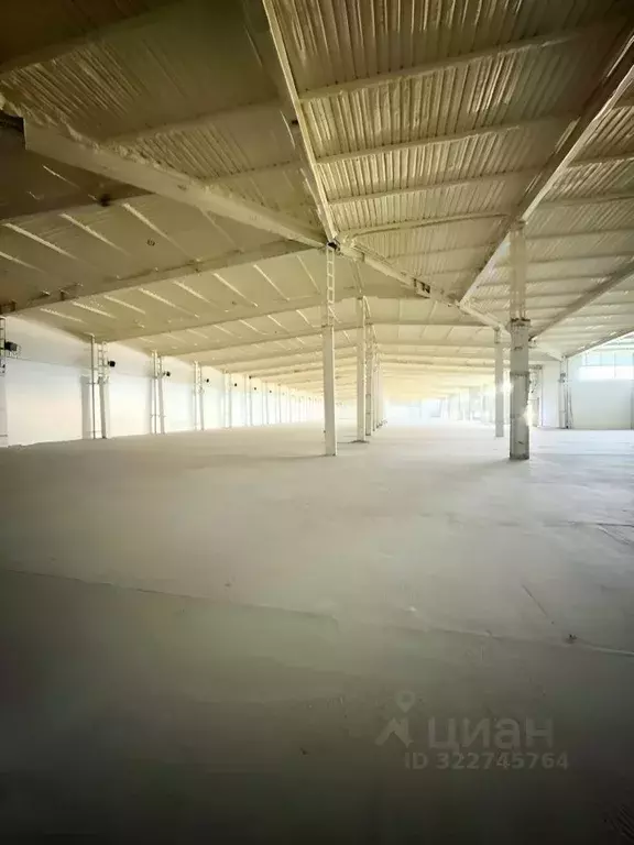 Склад в Новосибирская область, Новосибирский район, Толмачевский ... - Фото 1