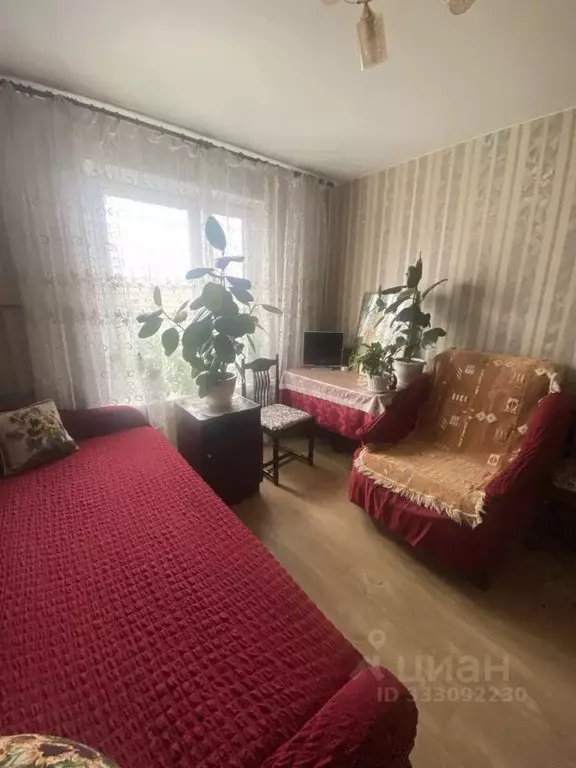 Комната Московская область, Балашиха Железнодорожный мкр, ул. ... - Фото 1