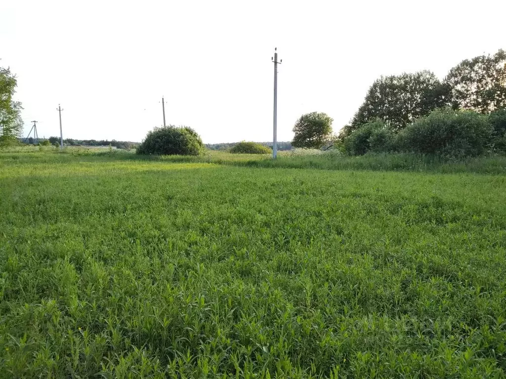 Участок в Калужская область, Жуковский район, с. Тарутино Совхозная ... - Фото 2