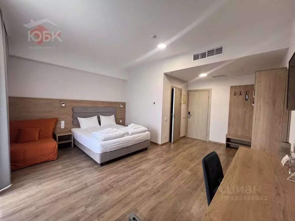 1-к кв. Крым, Черноморское пгт ул. Сигнальная, 2В (23.7 м) - Фото 2