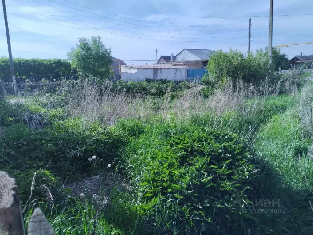 Дом в Челябинская область, с. Уйское ул. Партизанская, 23 (34 м) - Фото 0
