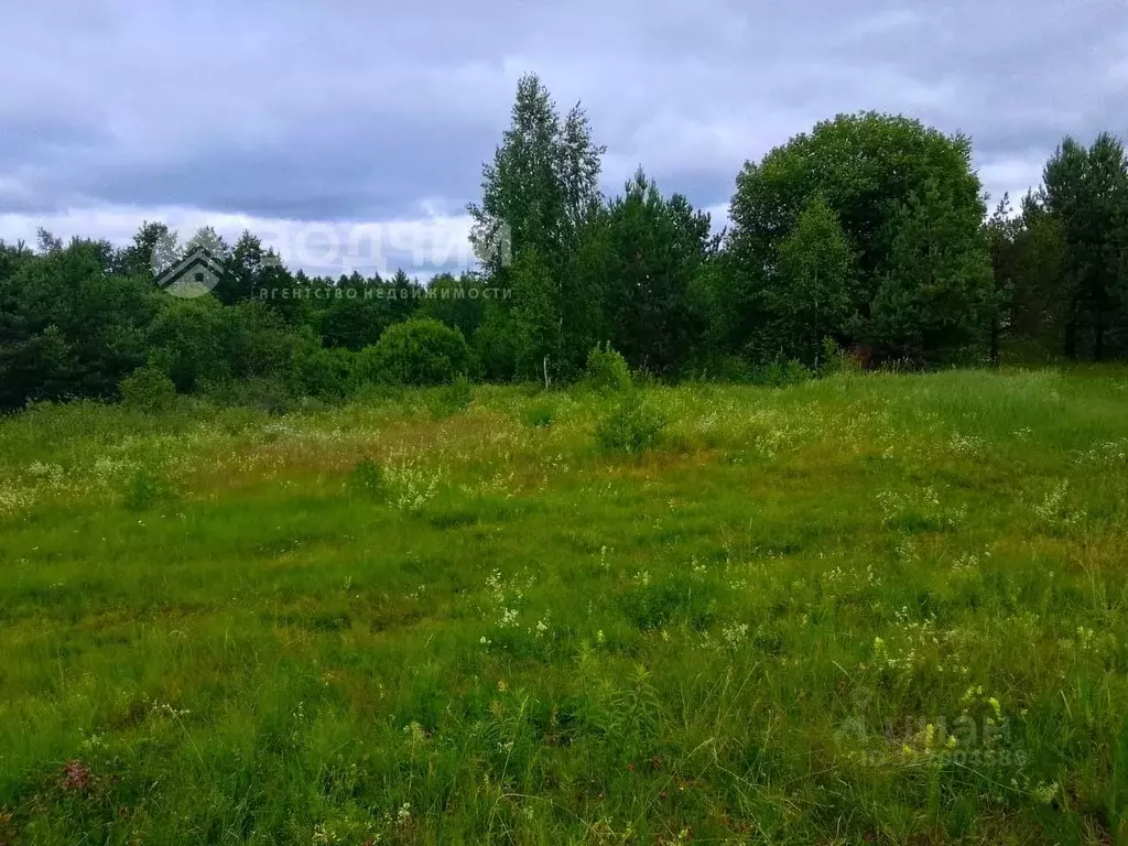 Участок в Чувашия, Чебоксары городской округ, Сосновка пгт  (4.0 сот.) - Фото 0
