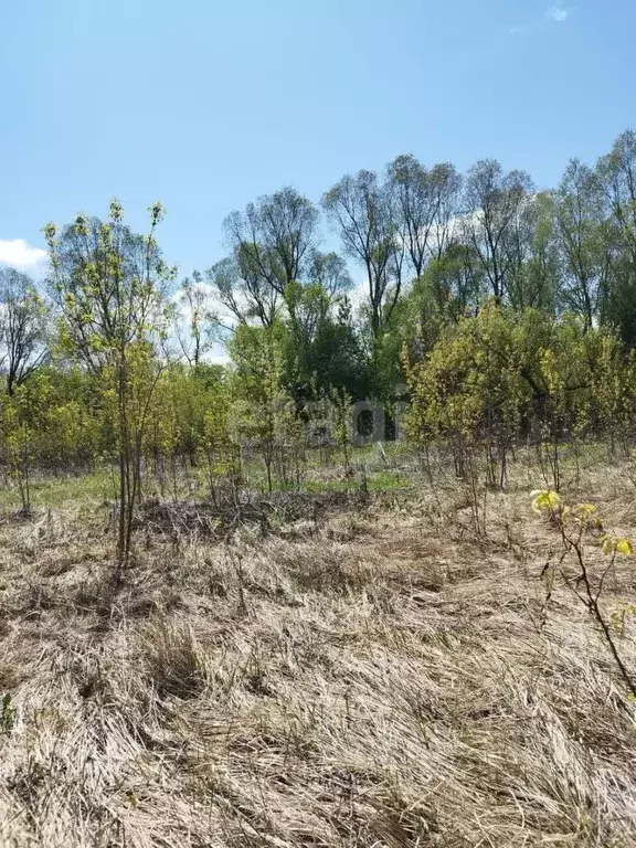 Участок в Марий Эл, Йошкар-Ола городской округ, д. Якимово ул. ... - Фото 0