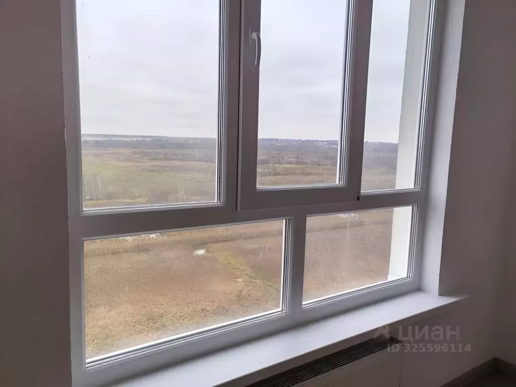 Студия Тверская область, Тверь ул. Левитана, 93А (21.3 м) - Фото 2