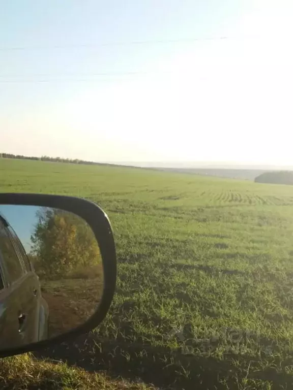 Участок в Кемеровская область, Кемеровский муниципальный округ  (33.71 ... - Фото 2