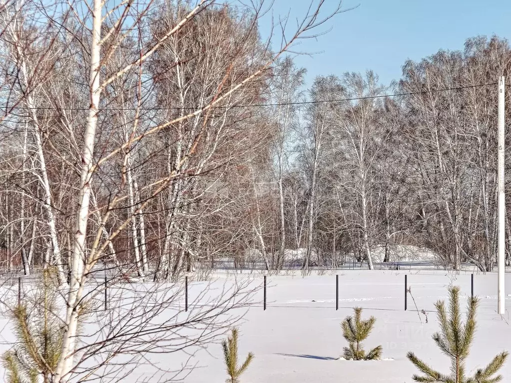 Участок в Новосибирская область, Мошковский район, пос. Октябрьский  ... - Фото 1