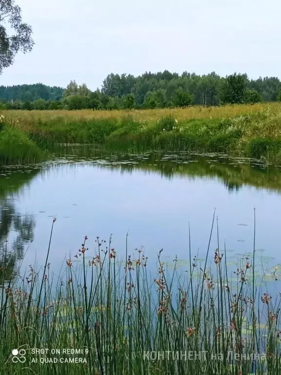 Участок в Ярославская область, Даниловский муниципальный округ, д. ... - Фото 1