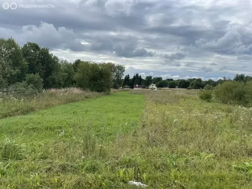 Участок в Волосовский район, Большеврудское сельское поселение, ... - Фото 1