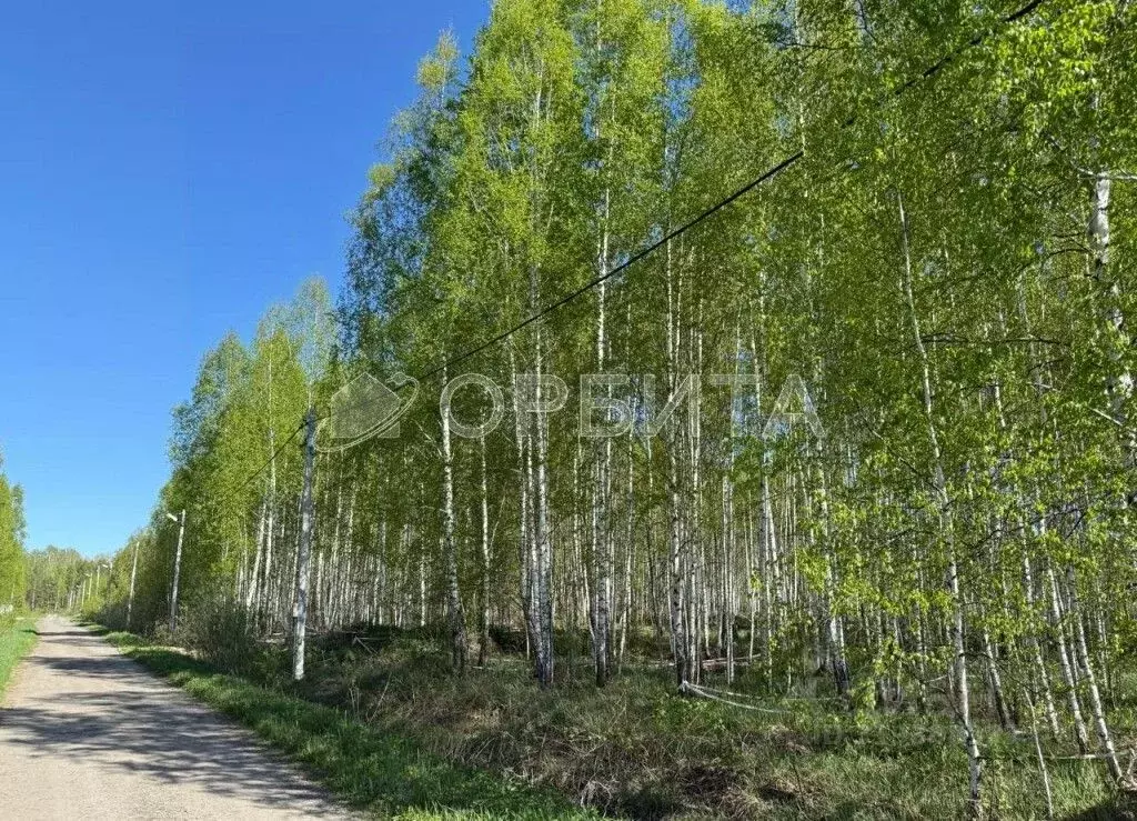 Участок в Тюменская область, Нижнетавдинский район, Березка СНТ  (6.0 ... - Фото 0