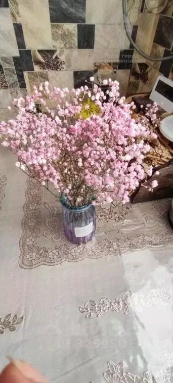 2-к кв. Омская область, Омск ул. 27-я Северная, 1 (43.0 м) - Фото 1