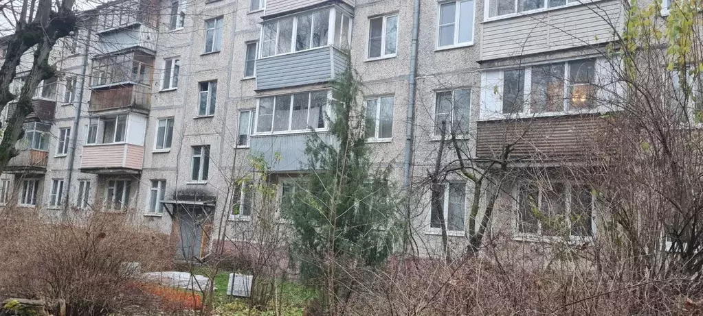 1-к кв. Московская область, Пушкино Мамонтовка мкр, ул. Мира, 1 (33.5 ... - Фото 2