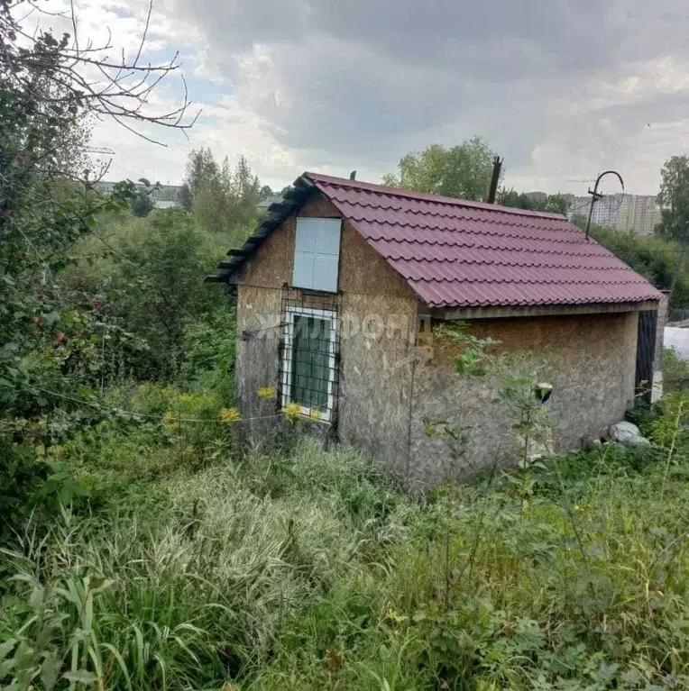 Дом в Новосибирская область, Новосибирский район, Станционный ... - Фото 0