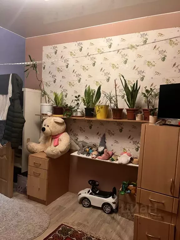 Комната Санкт-Петербург Сестрорецкая ул., 8 (20.0 м) - Фото 2