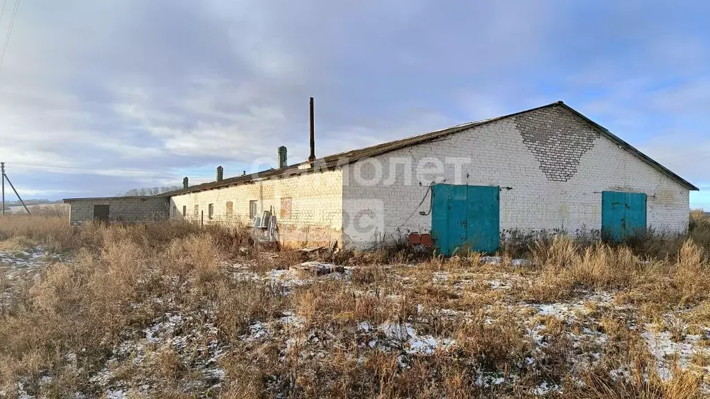 Помещение свободного назначения в Башкортостан, Благоварский район, ... - Фото 0