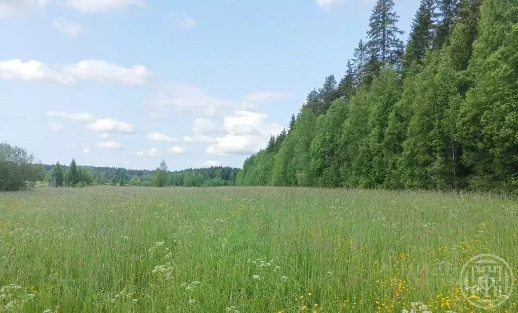 Участок в Ленинградская область, Выборгский район, Полянское с/пос, ... - Фото 2