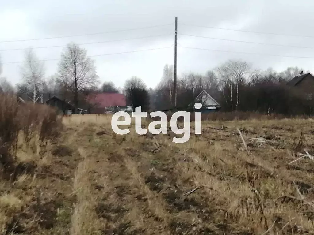 Участок в Владимирская область, Петушинское муниципальное образование, ... - Фото 0