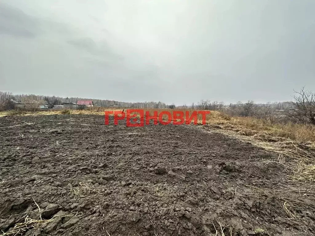 Участок в Новосибирская область, Ордынский район, с. Кирза Боровая ... - Фото 1