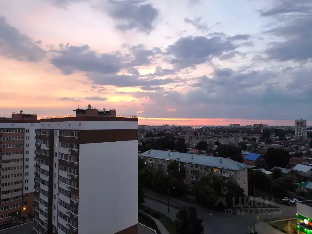 1-к кв. Самарская область, Тольятти ул. Горького, 43 (37.0 м) - Фото 1