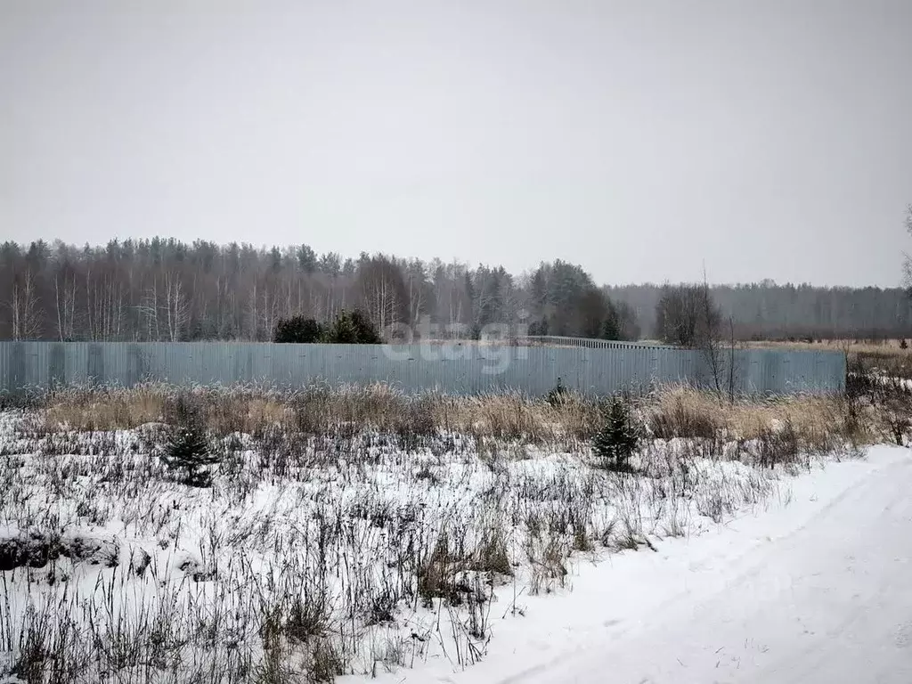 Участок в Владимирская область, Муром д. Михайлово, ул. Центральная ... - Фото 1