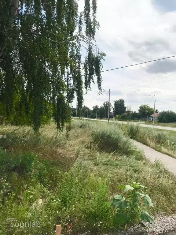 Участок в Тамбовская область, Знаменский муниципальный округ, д. ... - Фото 2