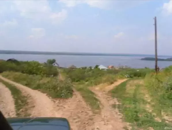 Участок в Нижегородская область, Лысковский район, с. Бармино Садовая ... - Фото 2