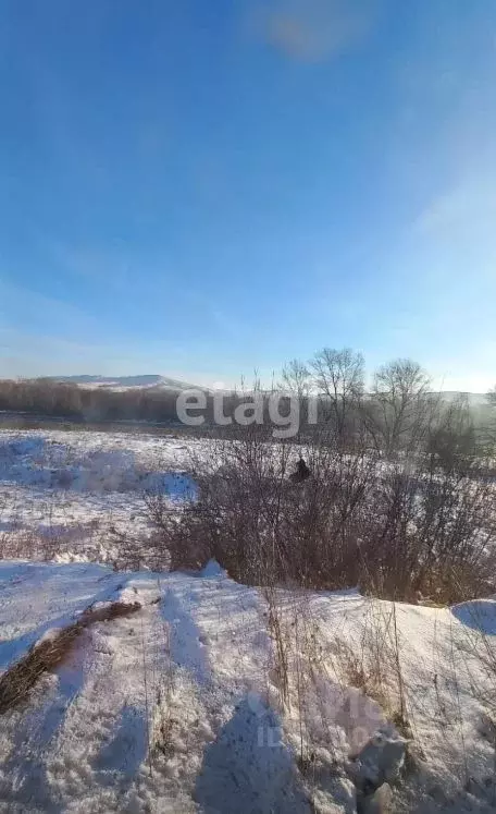 Участок в Алтай, Майминский район, с. Подгорное Береговая ул. (13.5 ... - Фото 0