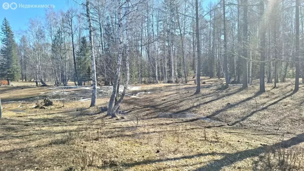Участок в Усть-Коксинский район, посёлок Замульта, Майская улица (1800 ... - Фото 2