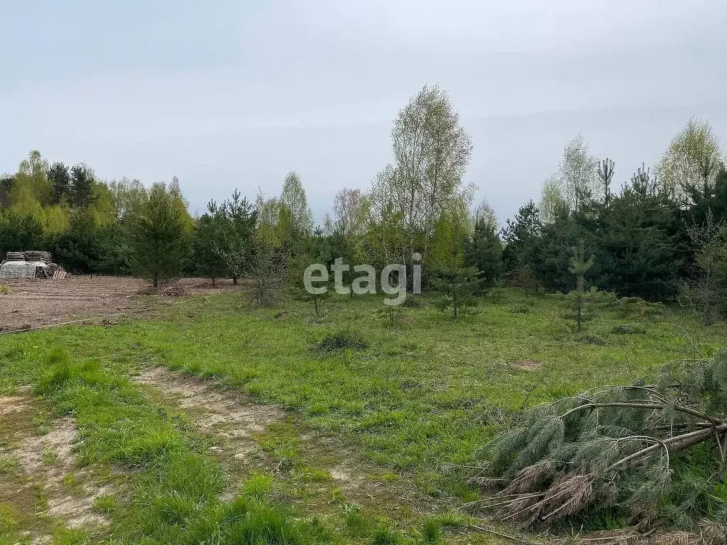 Участки В Первозванном Воронеж Купить