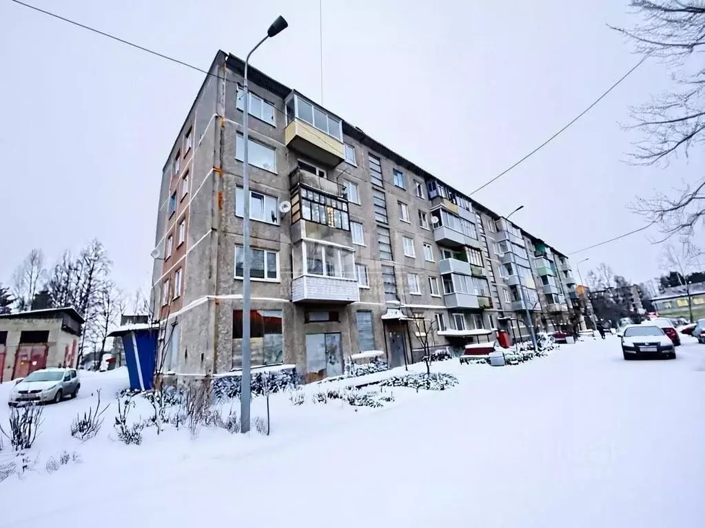1-к кв. Карелия, Суоярви ул. Кайманова, 5 (30.2 м) - Фото 1