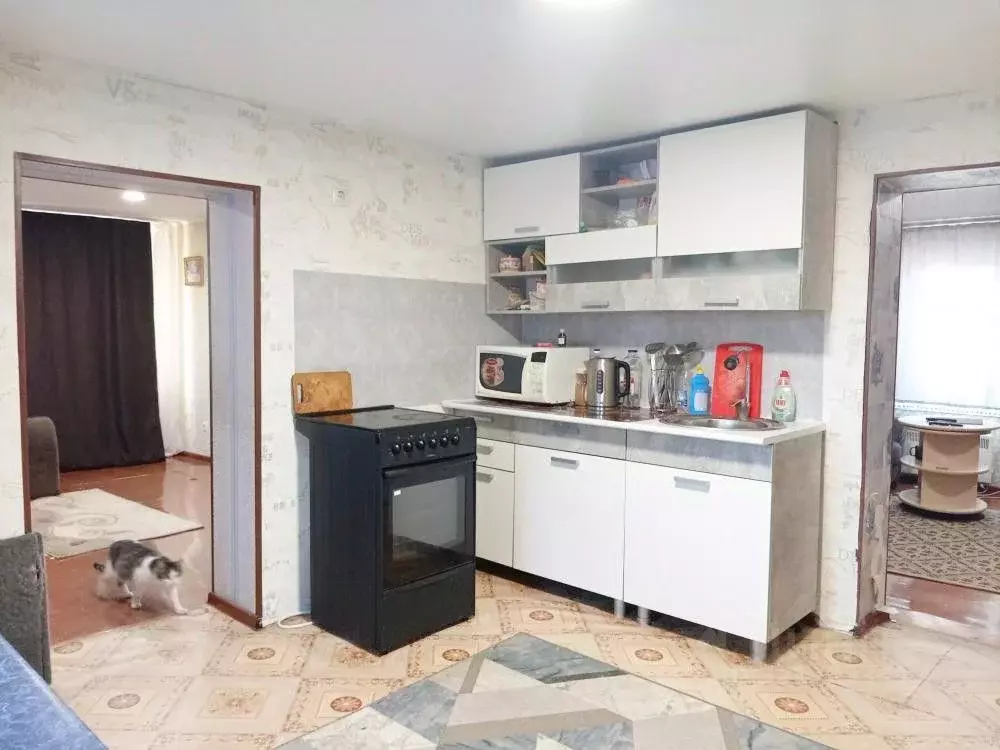 Дом в Хакасия, Бейский район, с. Сабинка ул. Мизяева, 17 (60 м) - Фото 2