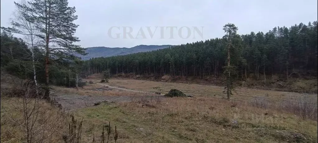 Участок в Алтай, Майминский район, с. Манжерок Манжерокская ул. (10.0 ... - Фото 0