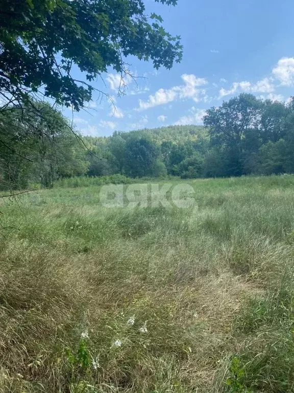 Участок в Крым, Симферопольский район, Чистенское с/пос, с. Камышинка  ... - Фото 2