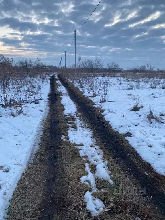 Участок в Омская область, Омский район, с. Усть-Заостровка  (5.0 сот.) - Фото 2