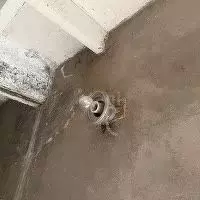 Гараж в Пензенская область, Пенза ул. Воронова, 1А (19 м) - Фото 2