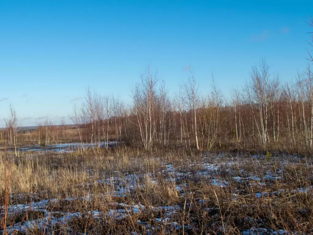 Участок в Московская область, Серпухов городской округ, д. Тульчино  ... - Фото 1