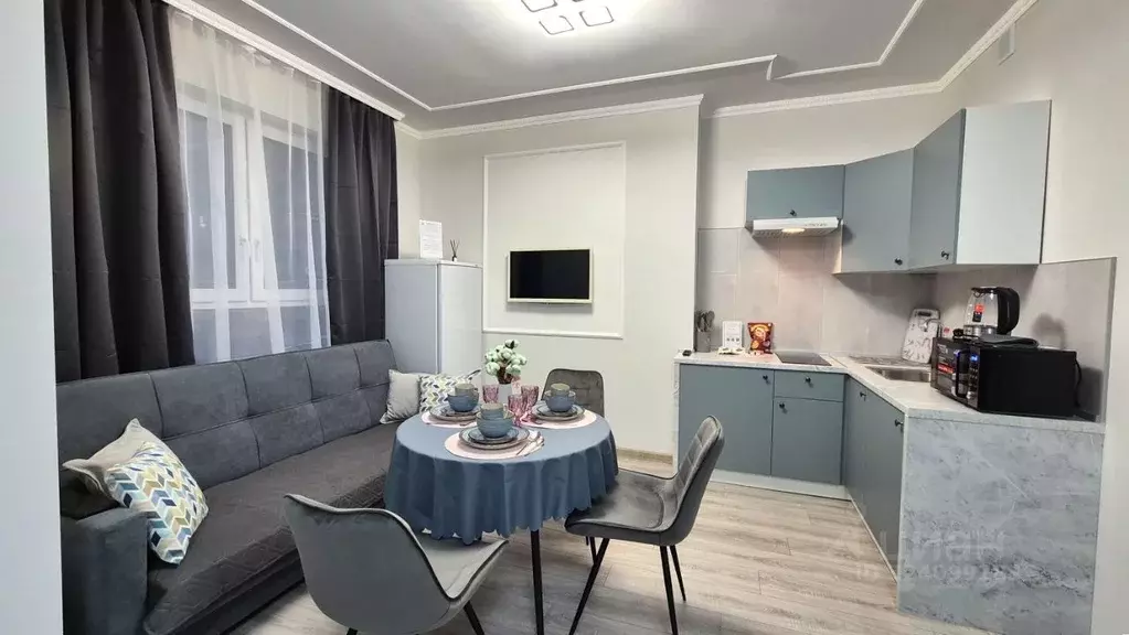 Студия Московская область, Пушкино ул. Антона Ветчинова, 3к1 (31.0 м) - Фото 2