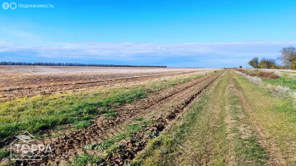 Участок в Сакский район, село Ромашкино (380 м) - Фото 1