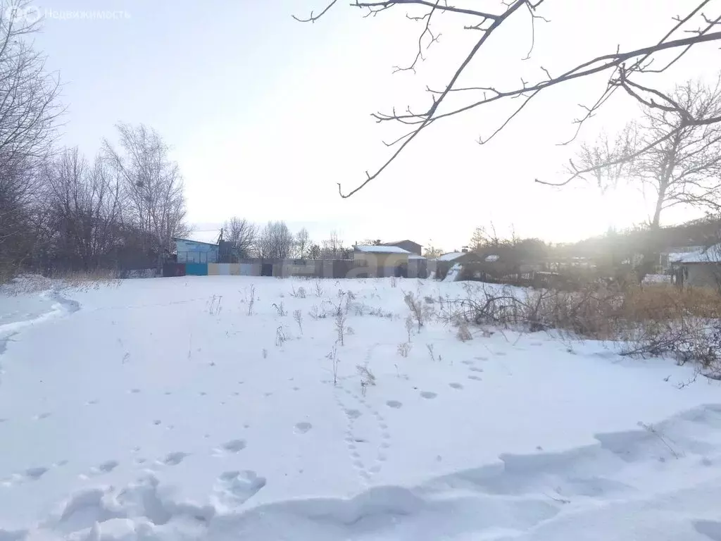 Участок в Благовещенск, посёлок Моховая Падь (11 м) - Фото 2