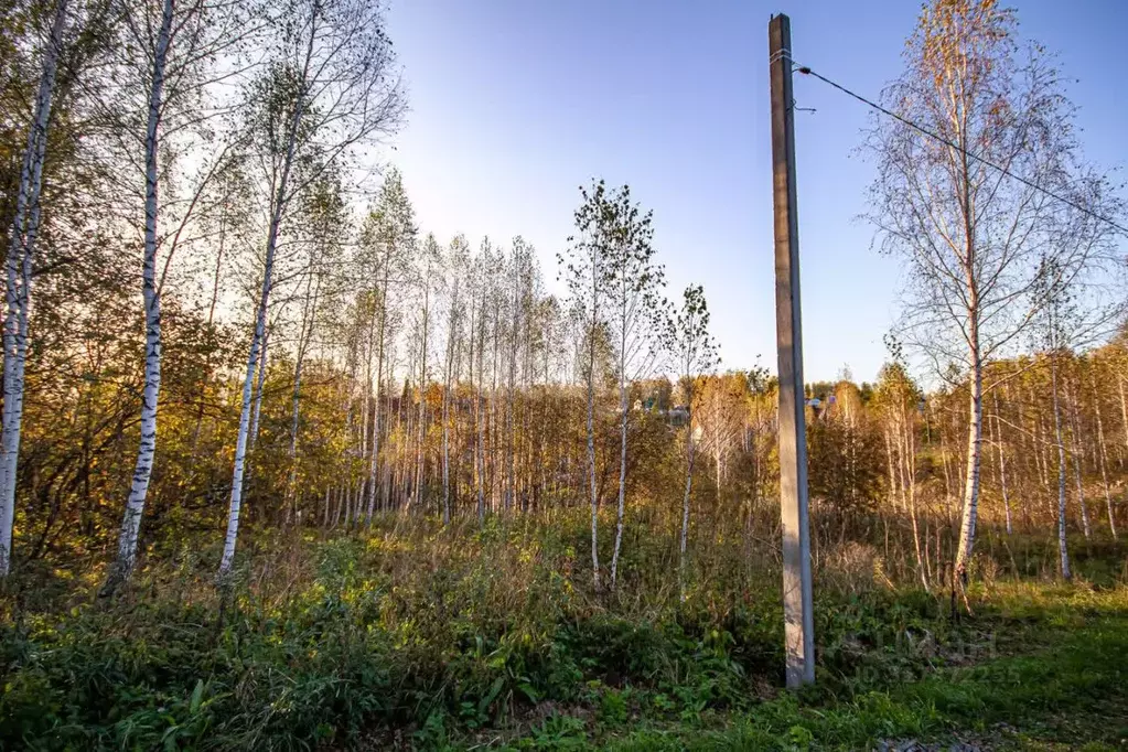 Участок в Новосибирская область, Новосибирский район, Раздольненский ... - Фото 1