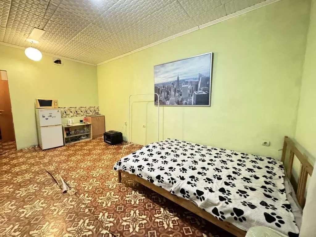 Студия Краснодарский край, Краснодар 1 Мая ул., 91а (30.0 м) - Фото 2