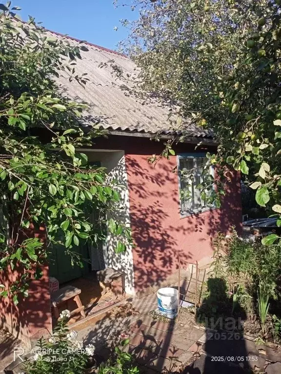 Дом в Белгородская область, Корочанский район, Мелиховское с/пос, ... - Фото 2