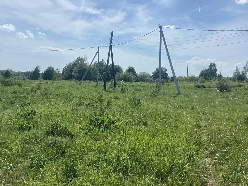 Участок в Нижегородская область, Богородский муниципальный округ, д. ... - Фото 1