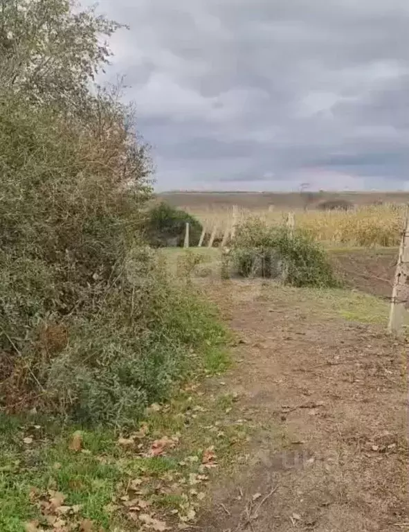 Участок в Ростовская область, Багаевский район, Манычская ст-ца ... - Фото 1