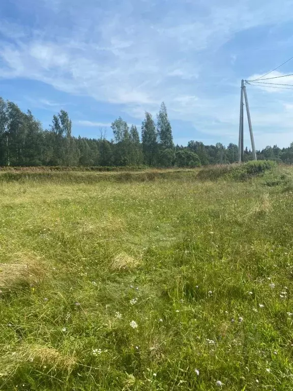 Участок в Новгородская область, Маловишерский район, Бургинское с/пос  ... - Фото 2